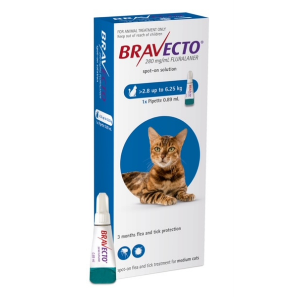 Bravecto Spot On Medium Cats 2.8-6.25KG