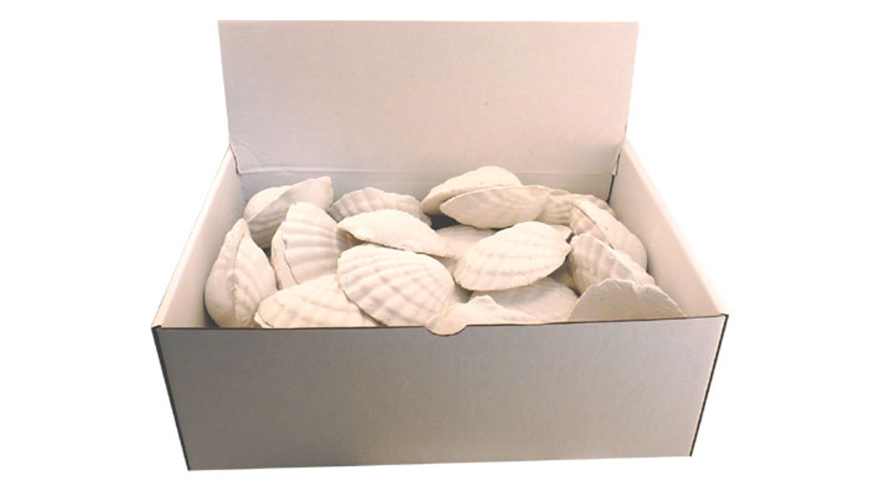 Brooklands Oxy Shell 50 Pack - Fish Tank Health & Water Treatments 