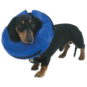Buster Inflatable Elizabethan Collar Nylon Medium - Veterinary Canine Wound Care & First Aid 