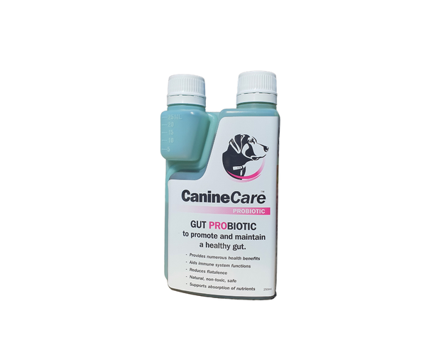 CanineCare Gut Prebiotic 250ml