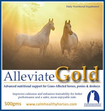 Calm Healthy Horses AlleviateGold 500g - Equine Nutritional & Performance Supplements 