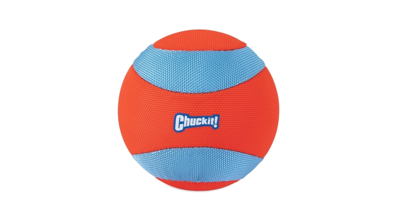 ChuckIt! Amphibious Mega Ball - Dog Toys 