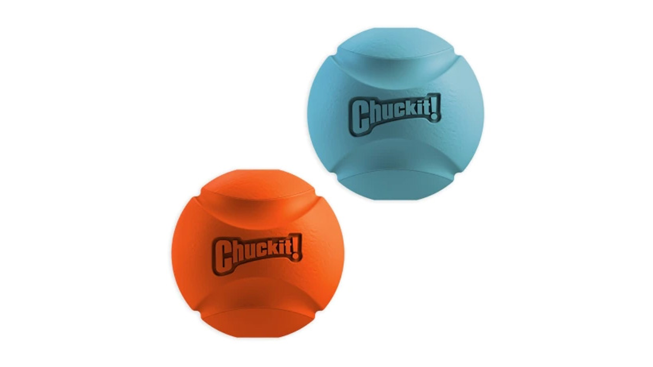 ChuckIt! Fetch Ball Small 2pk - Dog Toys 