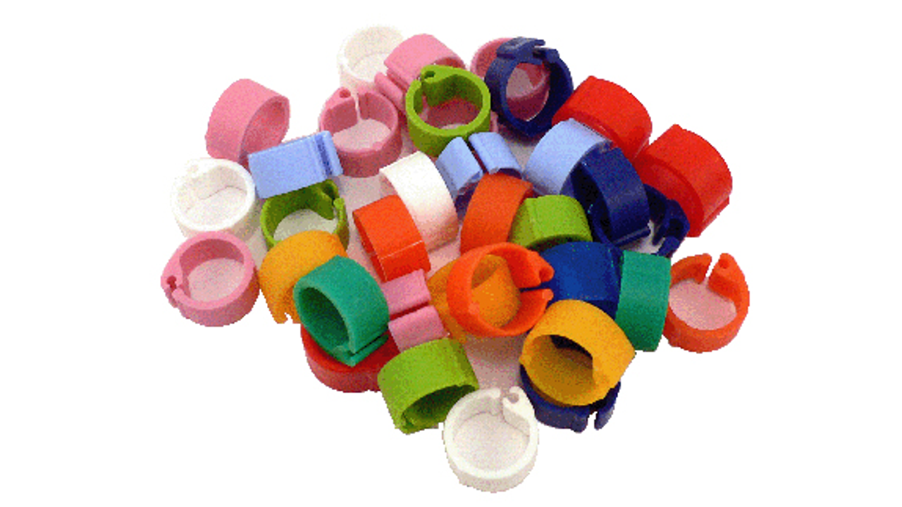 Dove Plastic Click Leg Ring 8mm - Bird Breeding 