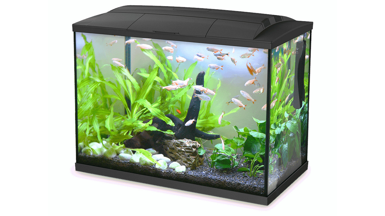 Hailea K60 LED Aquarium Black 60L