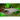 Emerald Eye Rasbora - Live Fish & Plants 