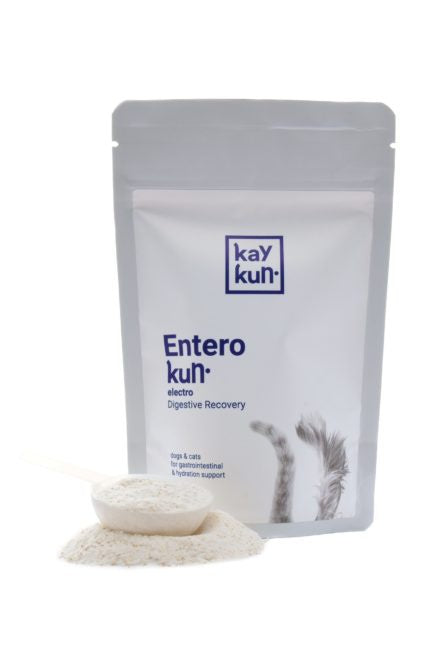 Enterokun Electro Digestive Recovery 85G