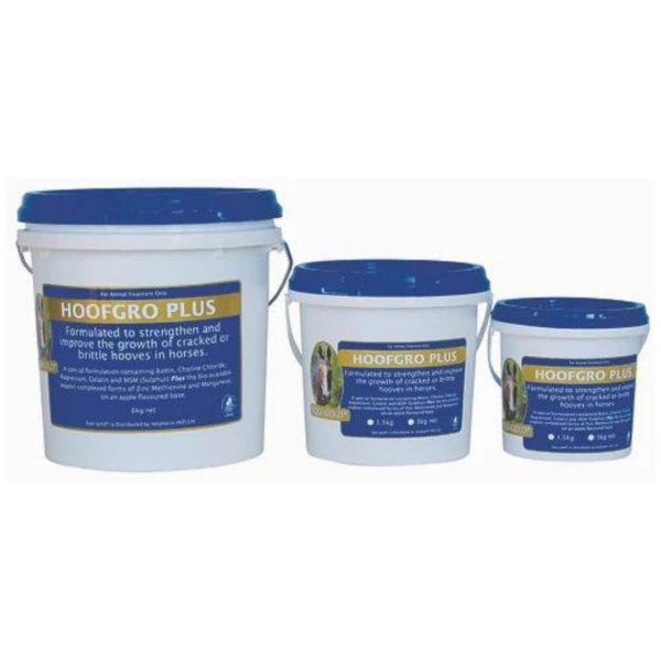 EquiGold Hoof Gro Plus 1.5KG - Equine Nutritional & Performance Supplements 
