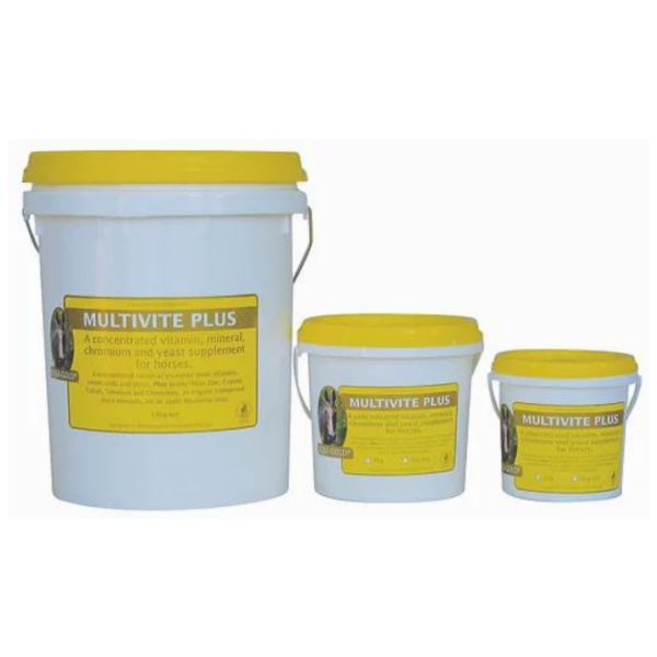 EquiGold Multivite Plus 3KG - Equine Nutritional & Performance Supplements 
