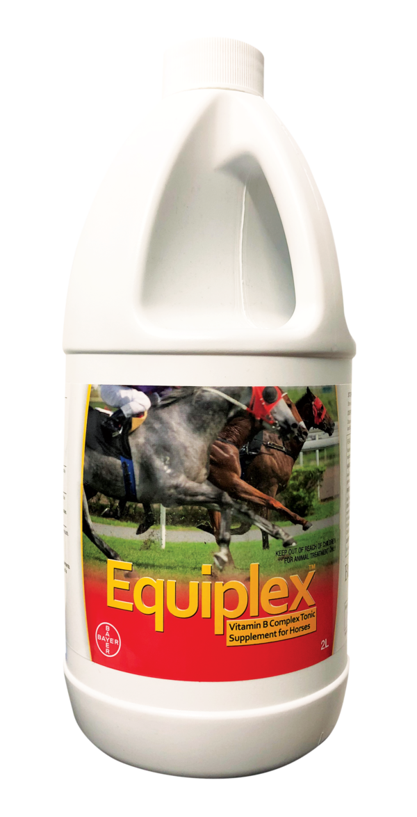 Equiplex 2L - Equine Nutritional & Performance Supplements 