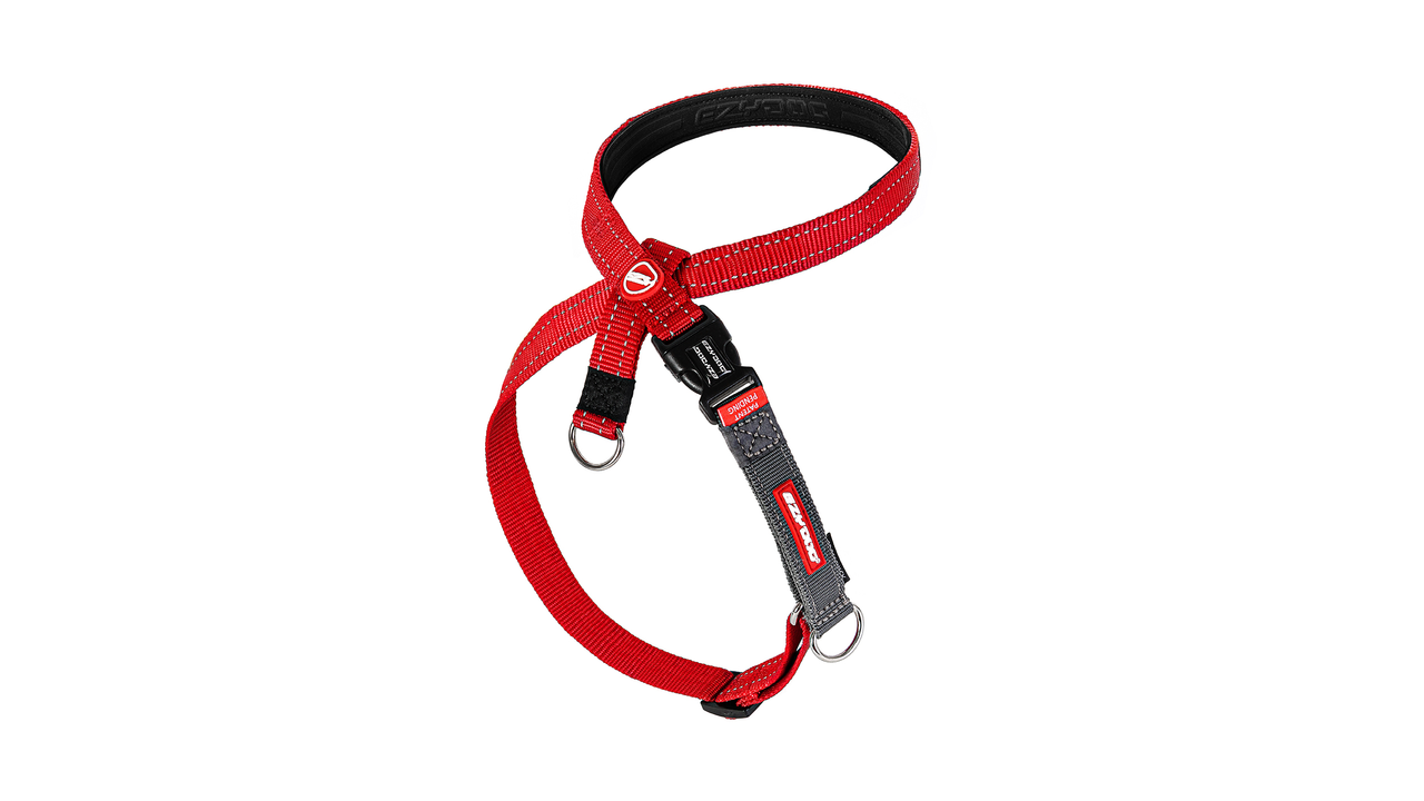 EzyDog Crosscheck Harness Red - Dog Collars, Leashes & Harnesses 