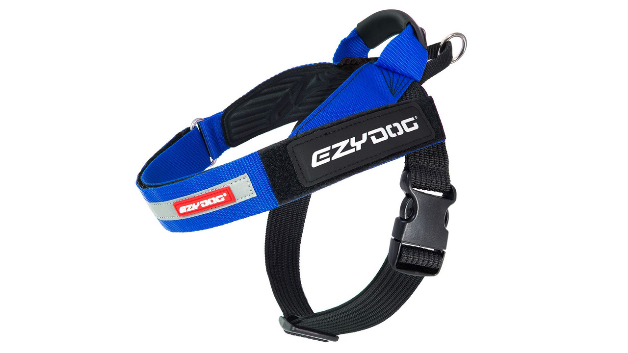 EzyDog Express Harness Blue - Dog Collars, Leashes & Harnesses 