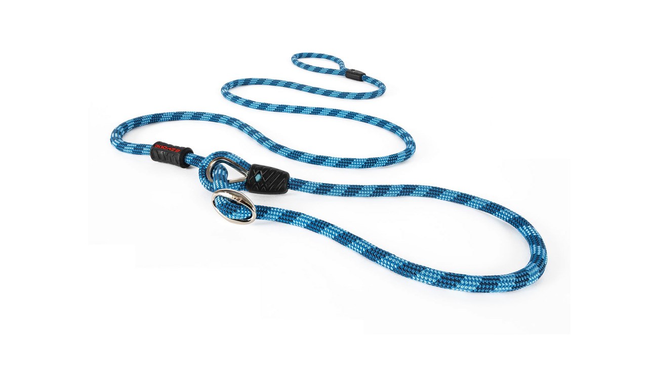 EzyDog Luca Slip Lead Blue - Dog Collars, Leashes & Harnesses 