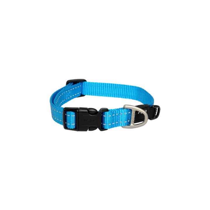 Rogz Nitelife Dog Collar Turquoise Small