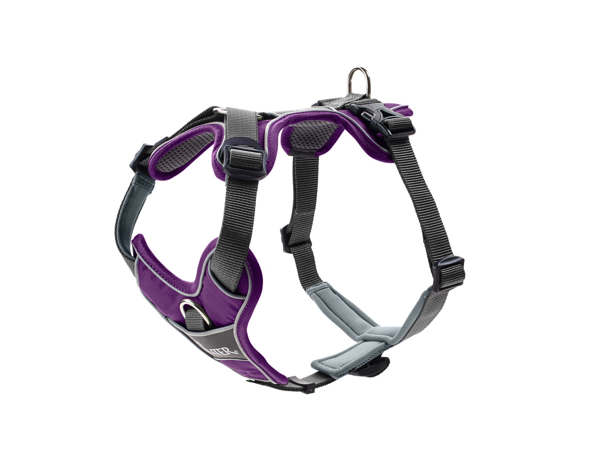 Hunter Divo Harness Violet Large