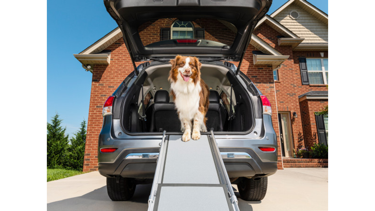 Happy Ride Telescoping Dog Ramp - Dog Travel 