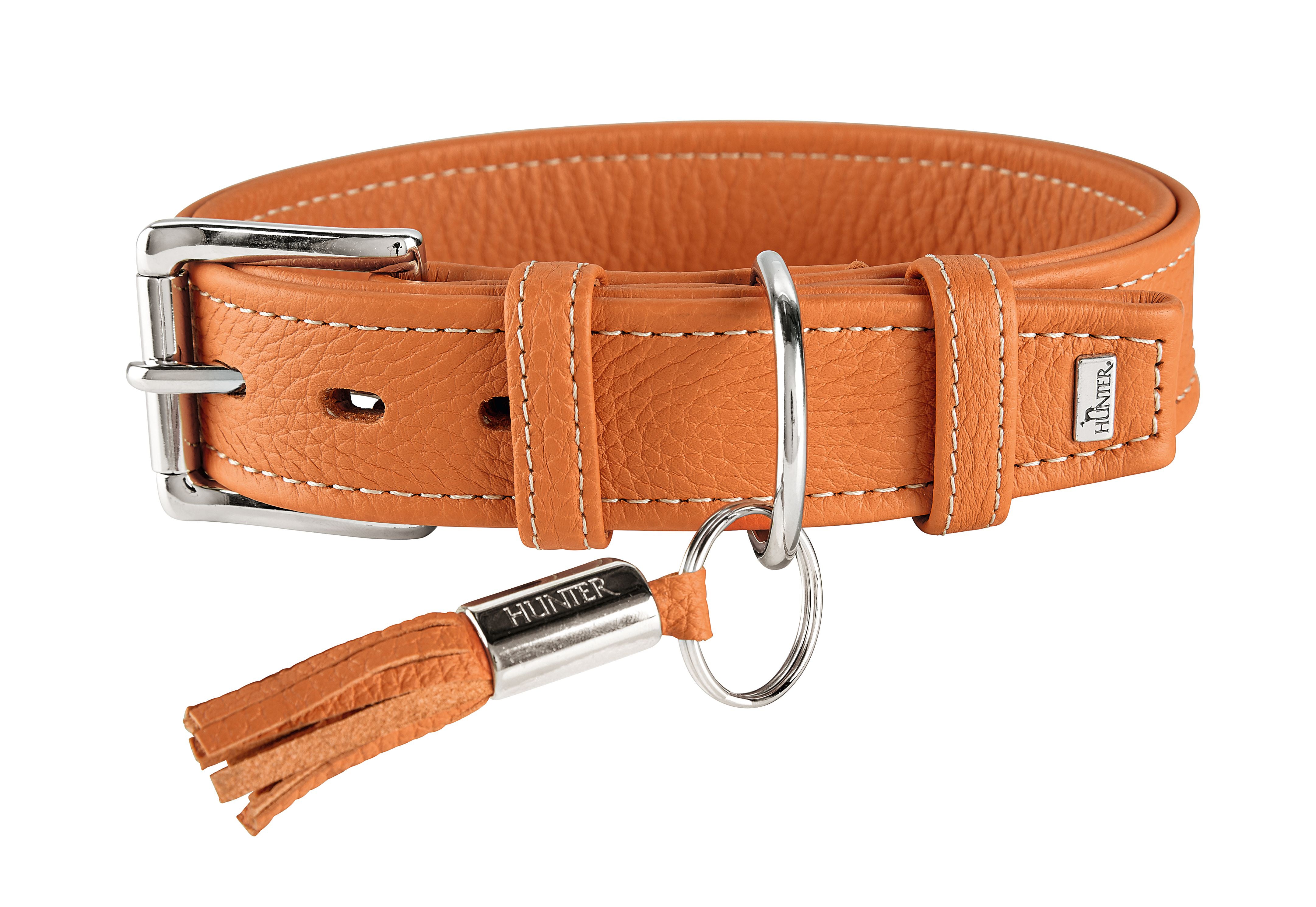 Hunter Cannes Collar Orange - Dog Collars, Leashes & Harnesses 