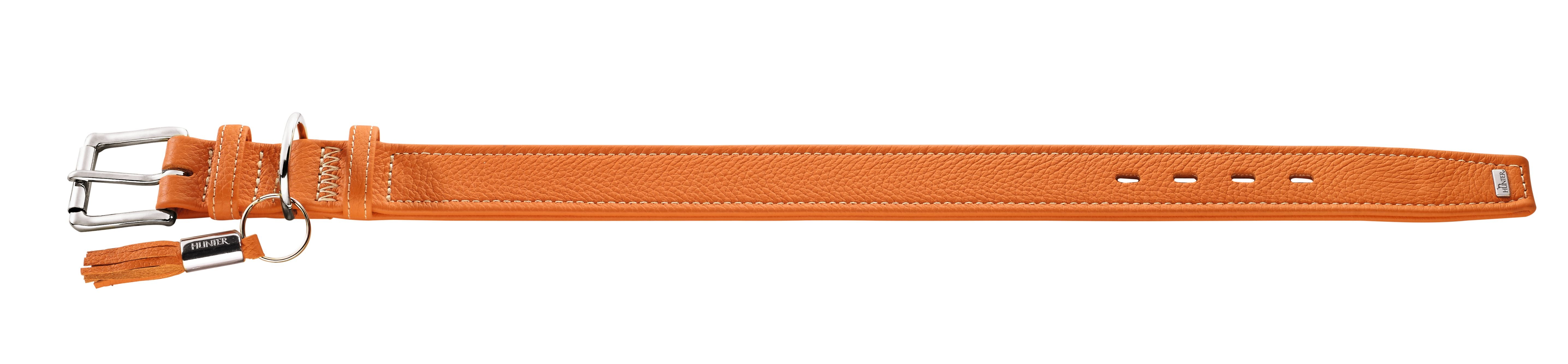 Hunter Cannes Collar Orange - Dog Collars, Leashes & Harnesses 