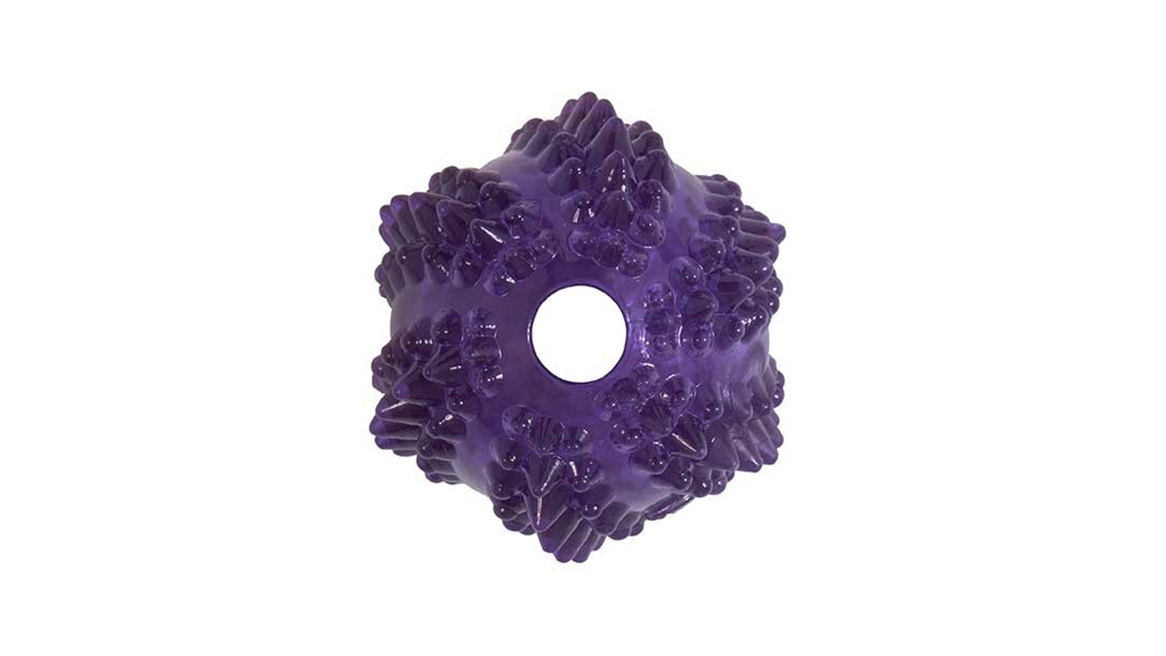 JW Bristly Cactus Ball - Dog Toys 