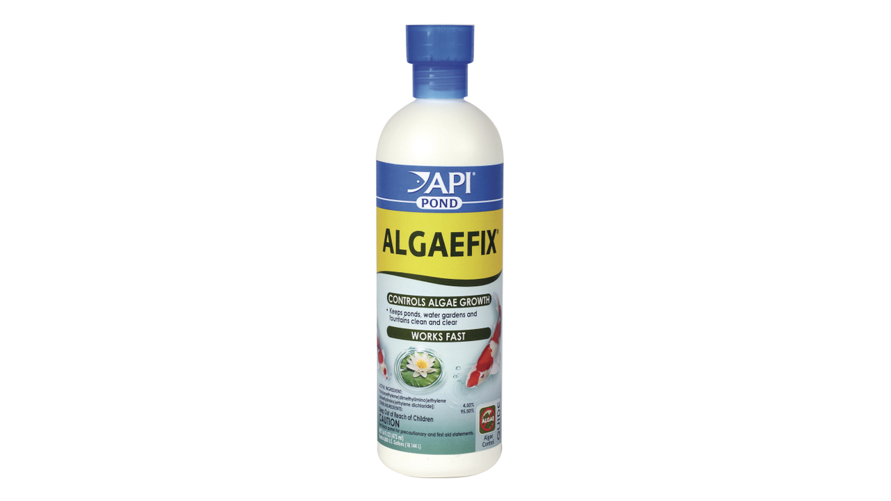 API Pond Algaefix 237ml