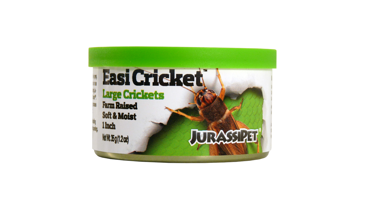 Jurassi-Diet Easi Cricket Large 35g