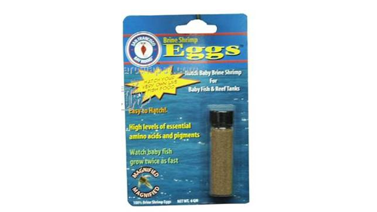 San Francisco Bay Brine Shrimp Eggs 6G