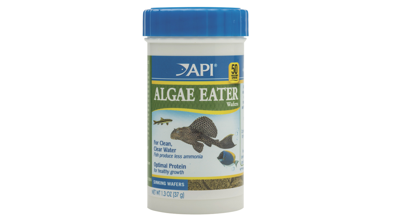 API Algae Eater Wafers 37G