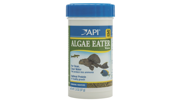 API Algae Eater Wafers 37G