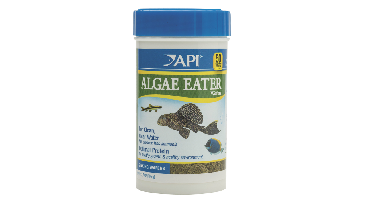 API Algae Eater Wafers 105G