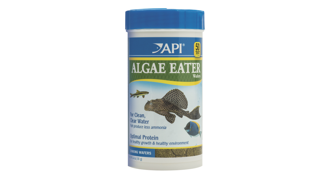 API Algae Eater Wafers 181G