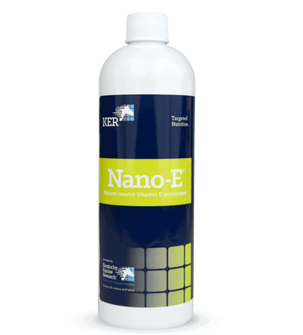 Nano-E Vitamin E Supplement with Pump 450ml