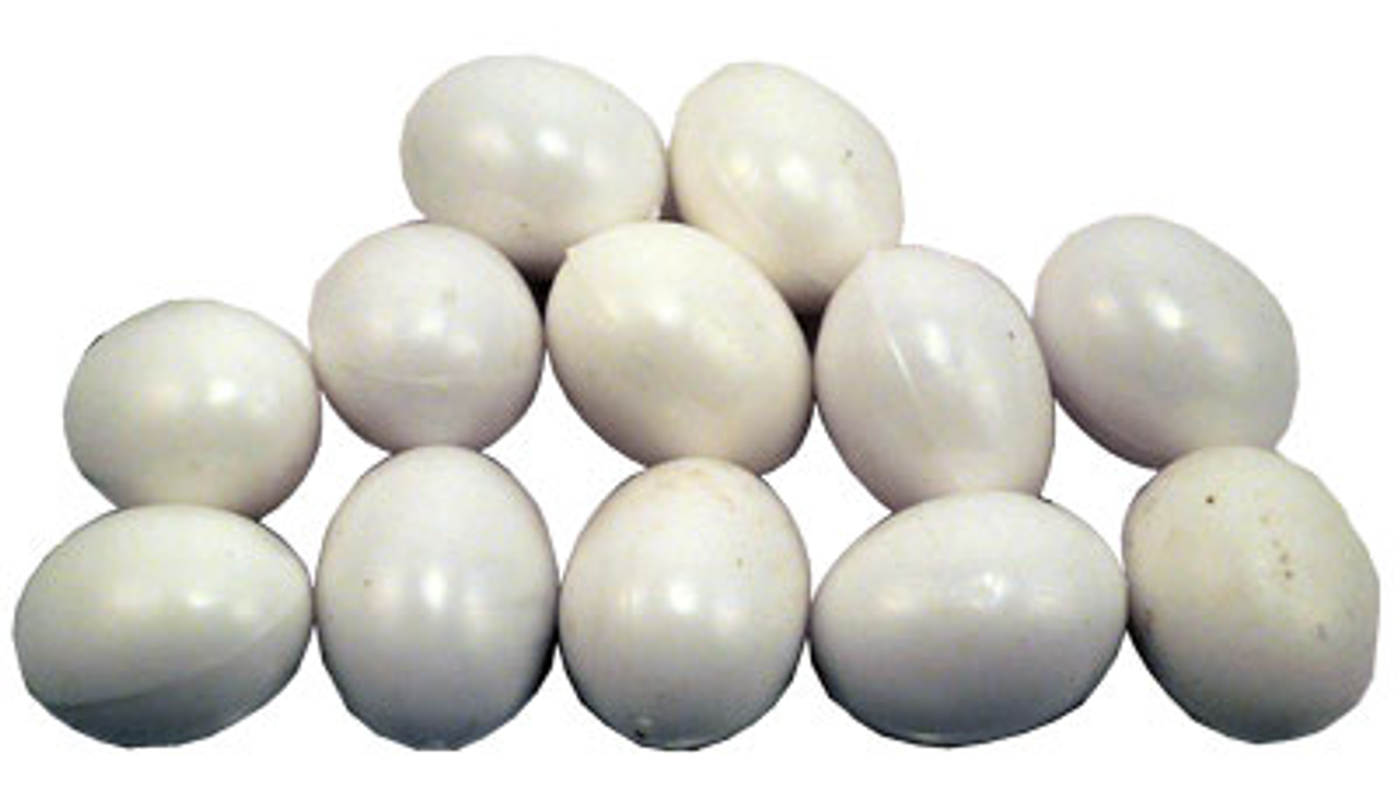 Nest Egg Pigeon 30mm 12 Pack - Bird Breeding 