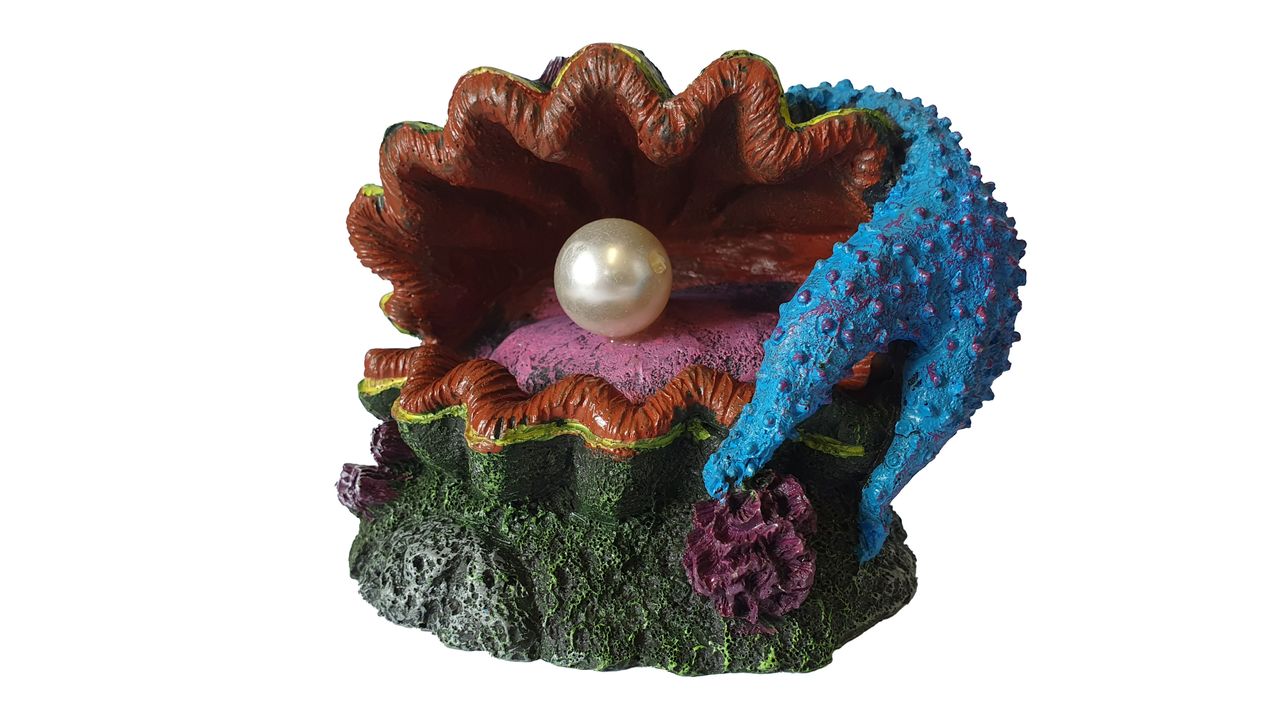Oyster Shell with Pearl - Fish Tank Decorations 