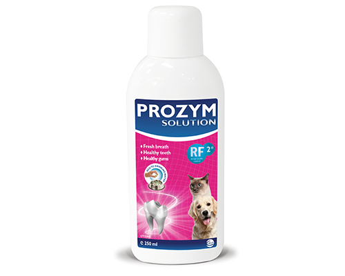 Prozym Dental Solution 250ml