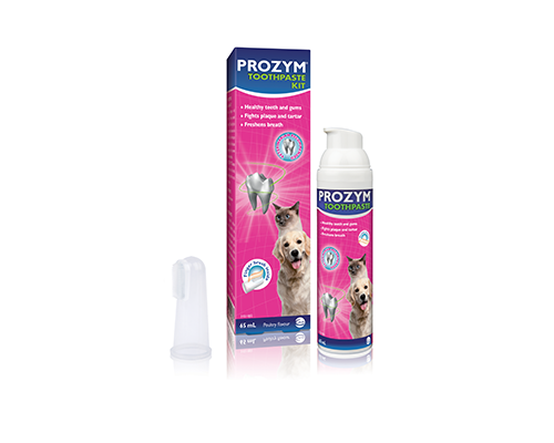 Prozym Toothpaste Kit 65ml