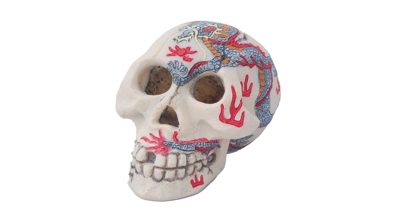 Painted Skull Ornament 9cm - Fish Tank Decorations 