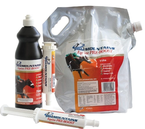 PalaMountains Equine PreBoost Paste 80ml - Equine Nutritional & Performance Supplements 