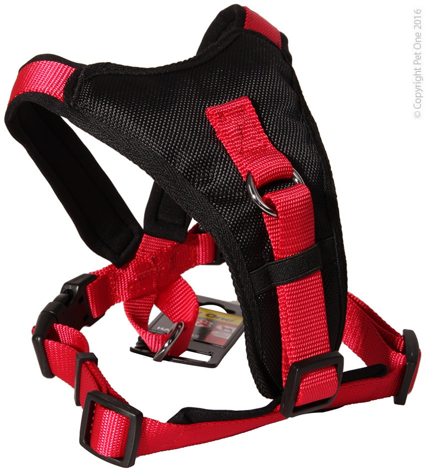Pet One Dog Harness Padded Black/Red Medium - Dog Collars, Leashes & Harnesses 