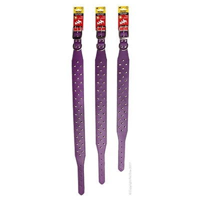 Pet One Studded Dog Collar Purple