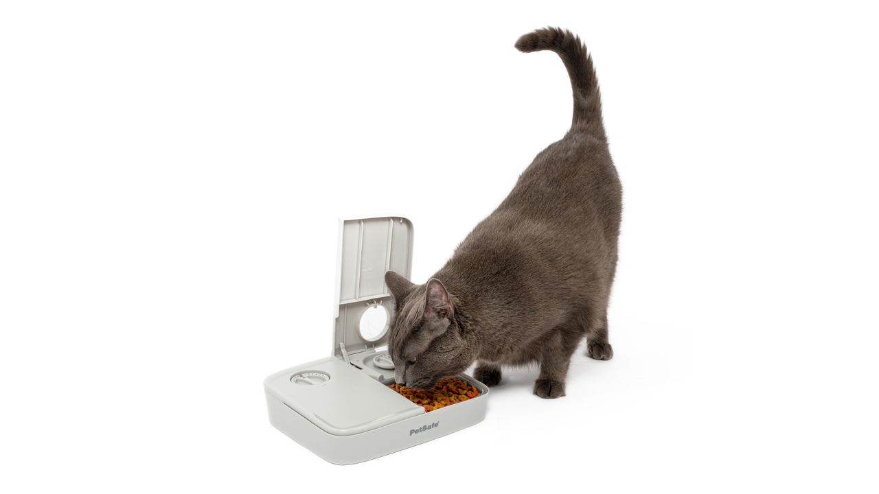 Petsafe Automatic 2 Meal Pet Feeder - Cat Bowls & Feeding Accessories 