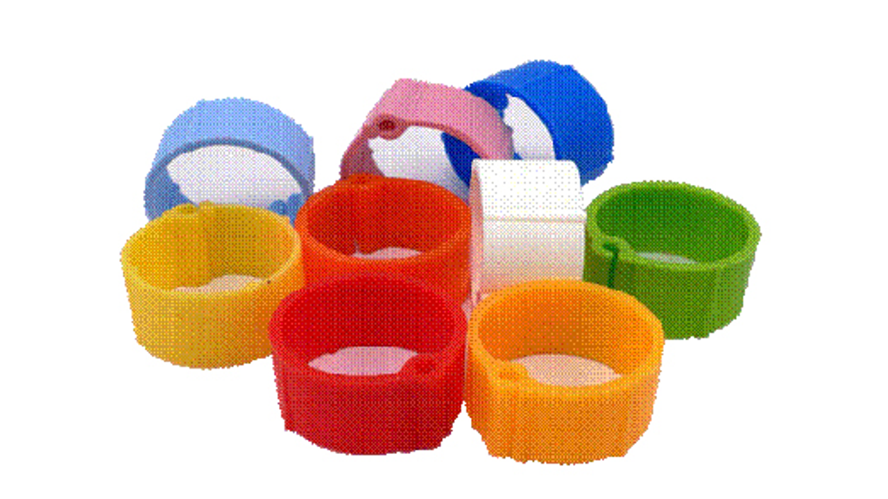 Pheasant Plastic Click Leg Ring 12mm - Bird Breeding 
