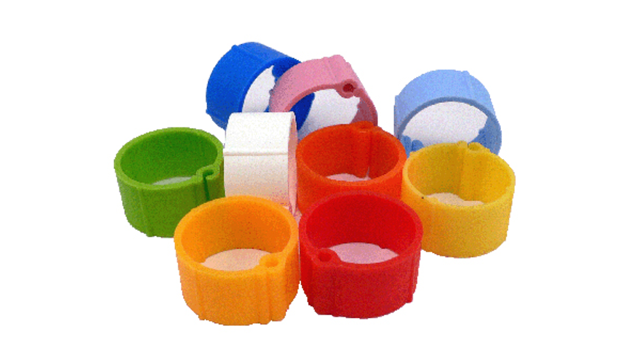 Poultry Plastic Click Leg Ring 16mm - Bird Breeding 