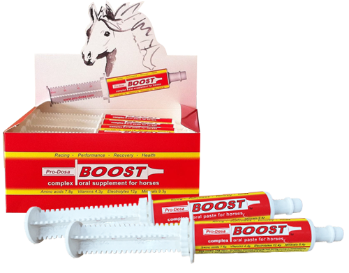 Pro-Dosa Boost Paste Syringe 80ml Single - Equine Nutritional & Performance Supplements 