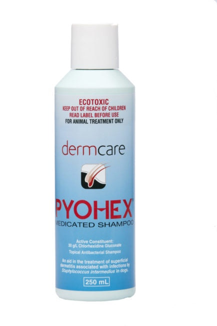 Dermcare Pyohex Medicated Shampoo 250ml
