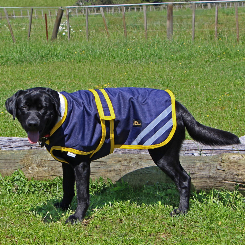 Cavallino Northampton Dog Coat 1200D Navy