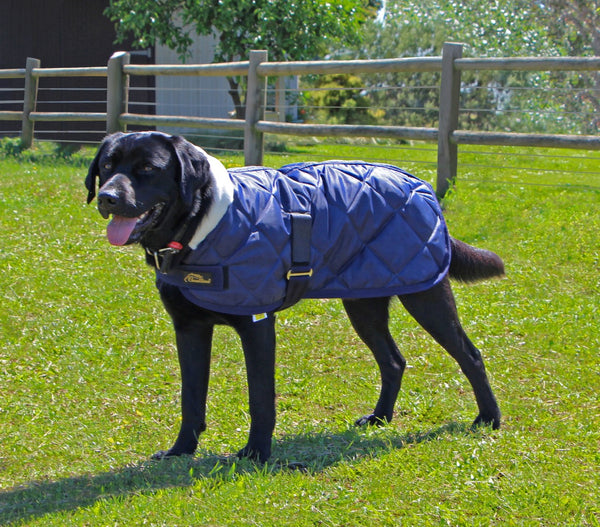 Cavallino Sherwood Dog Coat Navy