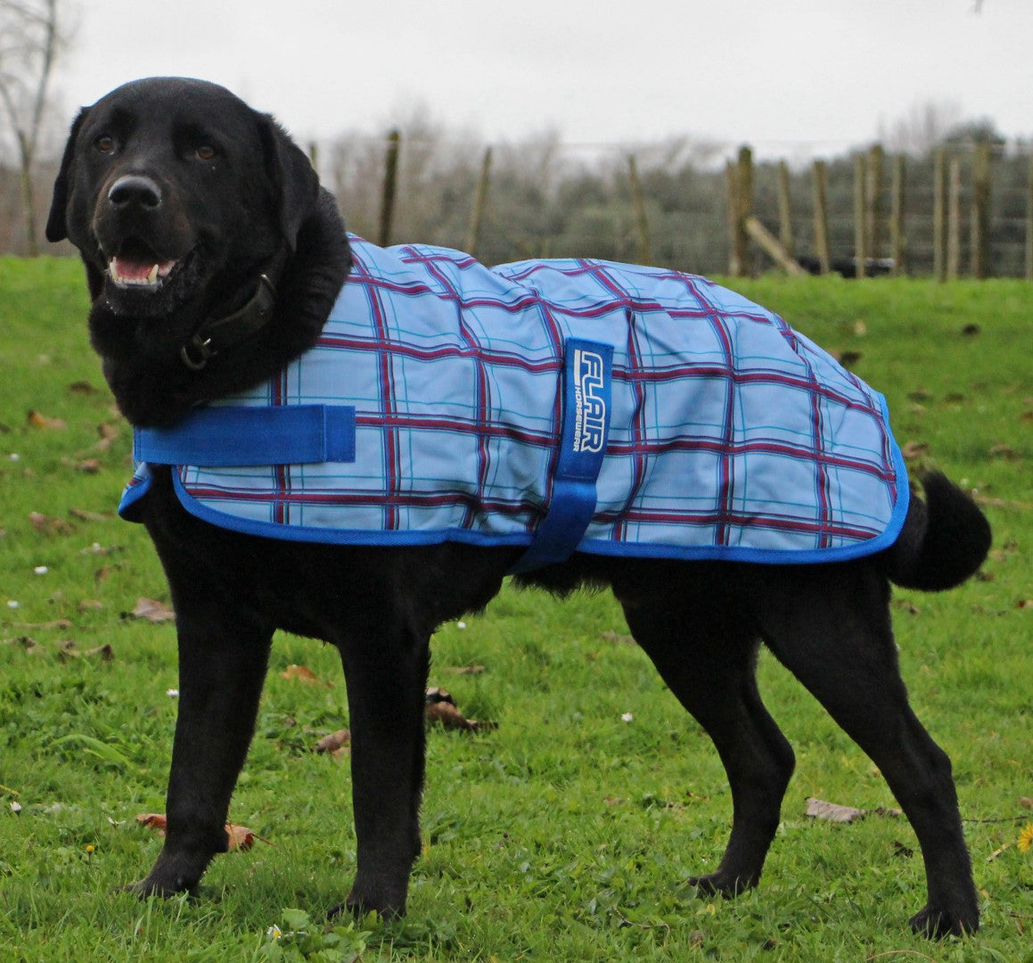 Flair Wanaka Dog Coat Plaid Blue