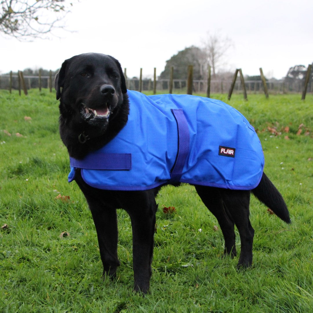 Flair Roxburgh Dog Coat