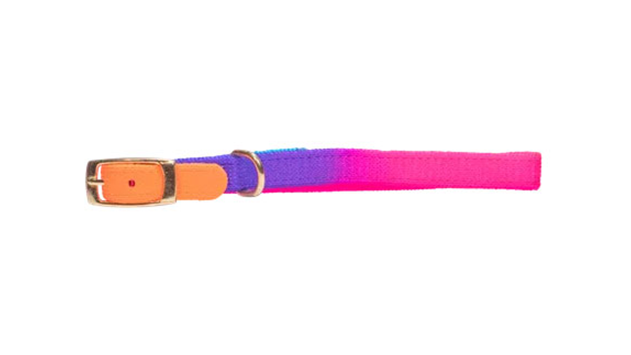 Rainbow Puppy Collar - Dog Collars, Leashes & Harnesses 