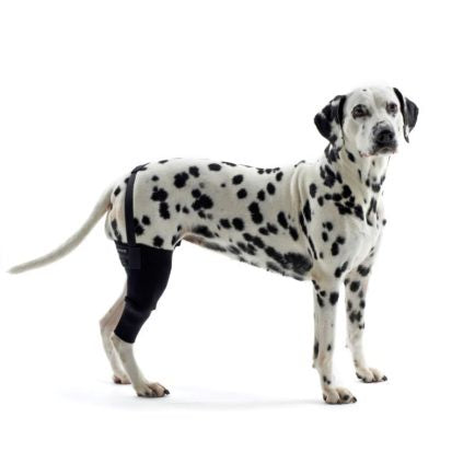 Rehab Knee Protector Right Large - Veterinary Canine Wound Care & First Aid 
